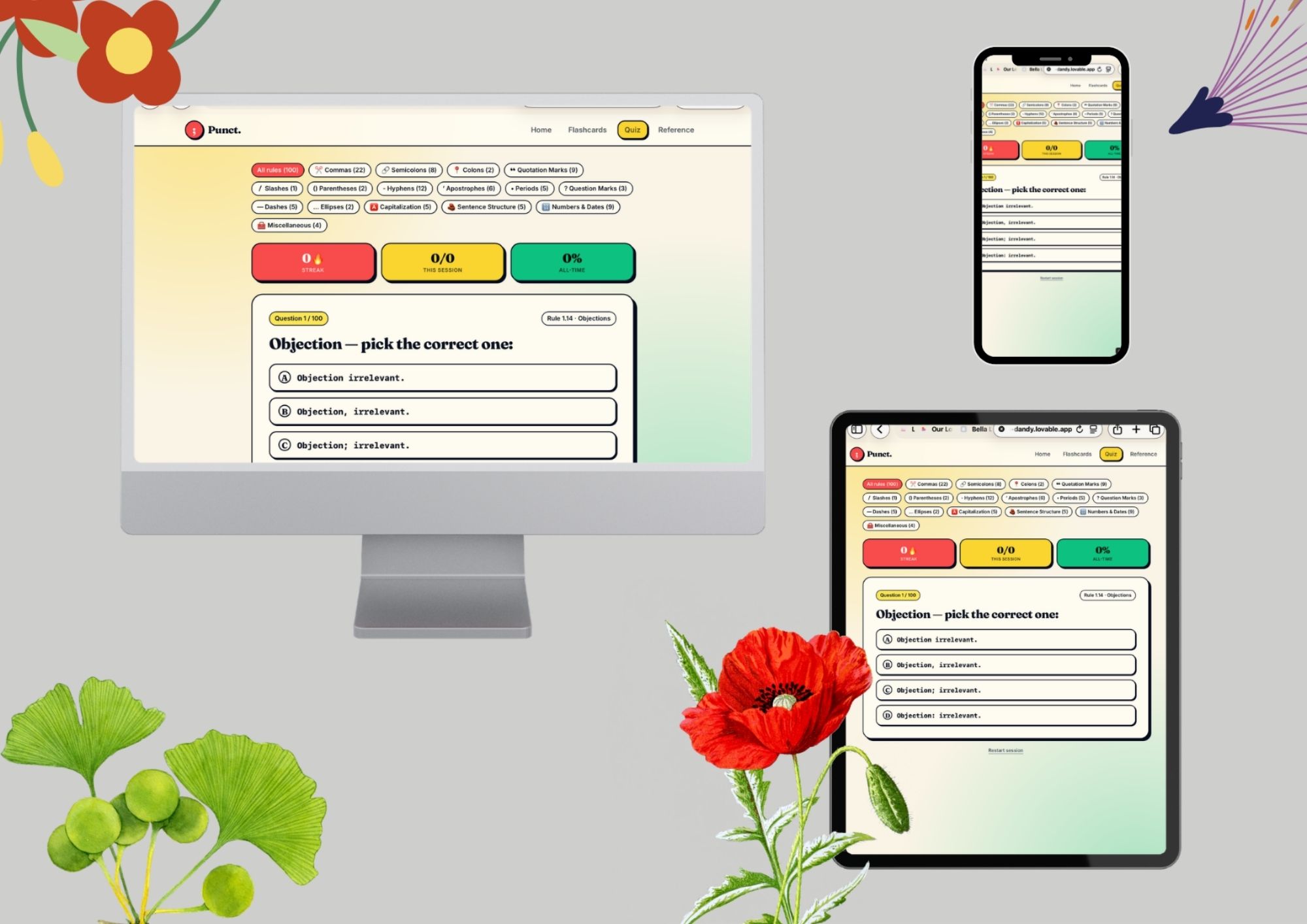 Punct eLearning App Interface